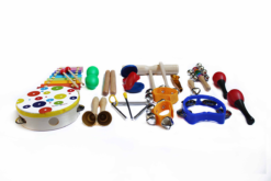 19-Piece Musical Instrument Set Early Education Teaching Aids - Toys Ace