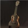 Dark Slate Gray 21 Inch Four Strings Rosewood Ukulele Guitar With Grape Shape Holes