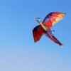 Dark Red 55 Inches Cute Classical Dragon Kite 140cm x 120cm Single Line Kite With Tail