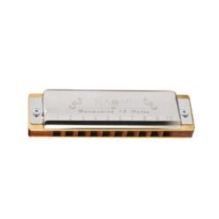 Light Gray NAOMI 10 Holes Blues Harmonica Rosewood Comb Brass Reed Diatonic Harmonica In Key Of C For Professional Player