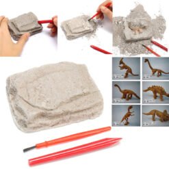 Light Gray Dinosaur Fossils Excavation Kit Archaeology Dig Up History Skeleton Fun Kids Gift Toys
