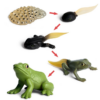 Simulation Animal Model Mini Frog Toy - Toys Ace