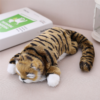 Tik Tok the Same Turning Cat Rolling Cat Plush Children'S Toy