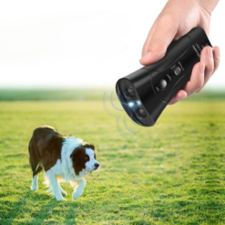 Double Horn Laser Dog Trainer - Toys Ace