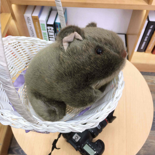Simulation Guinea Pig Doll Small Plush Toy - Toys Ace