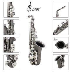 Slade Bend Eb E-flat Alto Saxophone Sax High Quality Brass Black Nickel Plating Abalone Shell Keys Carve Pattern