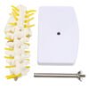 Beige Mini Human Lumbar Vertebrae Sacrum Coccyx Anatomy Medical Spine Model 15cm