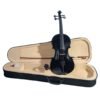 Tan NAOMI 4/4 Black Acoustic Violin Spruce Top & Ebony Fitting Basswood Violin Outfit for Beginners W/Violin Case+Bow