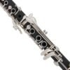 Gray IRIN 17 key Bb Adjustable Gum Wood Clarinet with Case/Bass StripReed/Screwdriver/Gloves