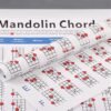 Steel Blue Mandolin Fretboard and Chord Chart Instructional Poster Fingering Chart