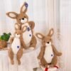 Rabbit plush toy - Toys Ace