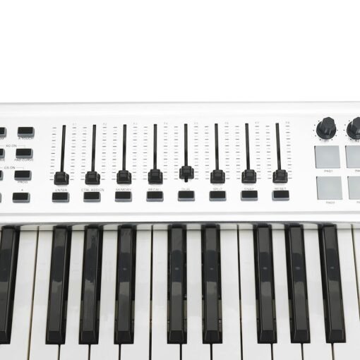 WORLDE P-61 PRO MIDI Keyboard Controller 61-key Semi-weighted Professional MIDI Keyboard MIDI Controller for Music Studio Stage Live Performance