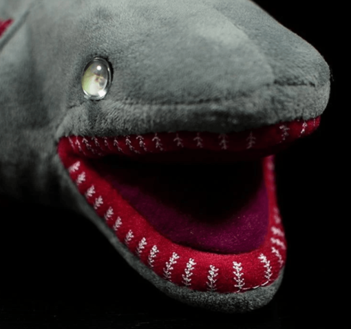 Frilled Shark Soft Stuffed Plush Toy (Shark) - Toys Ace