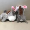 Cute little donkey plush doll (Donkey 10cm) - Toys Ace