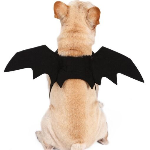 Snow Halloween Black Bat Wings Cute Party Decoration Toys