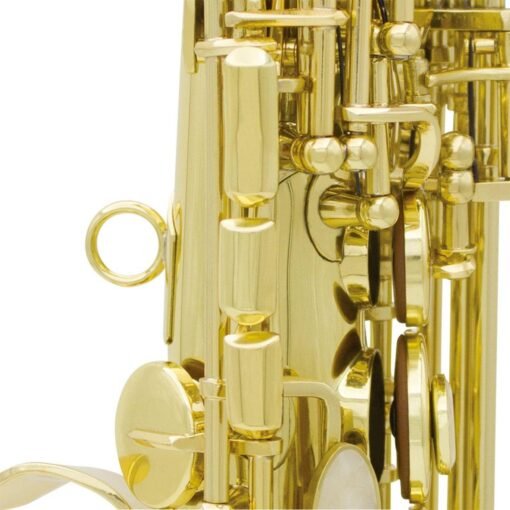Tan Brass Straight Soprano Sax Saxophone Bb B Flat Woodwind Instrument Natural Shell Key Carve Pattern with Carrying Case