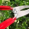 Beige Garden Grafting Cut Tool Kit Fruit Tree Stainless Steel Pruning Shears Scissor