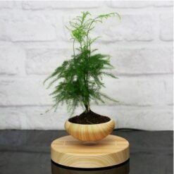 Dark Olive Green Magnetic Suspended Potted Plant Wood Grain Round LED Indoor Pot Home Office Decoration