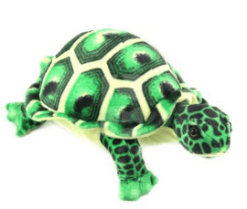 Tortoise Turtle Soft Stuffed Plush Toy - Toys Ace