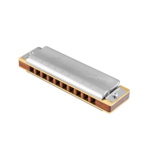 Gray NAOMI 10 Holes Blues Harmonica Rosewood Comb Brass Reed Diatonic Harmonica In Key Of C For Professional Player