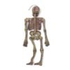 Dim Gray Halloween Party Decoration Luminous Vocal Simulation Frame Skeleton Horrid Scare Scene Props Toys