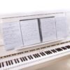 Light Gray FB-04 A4 Size Music Score Holder Paper Sheet Document File Organizer Music Paper Folder 40 Pockets for Guitar Violin Piano Players