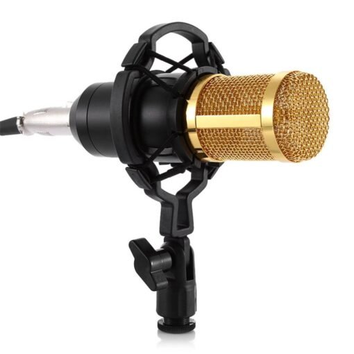 Sienna BM800 Microphone Condenser Sound Recording Microphone With Phantom Power For Radio Braodcasting Singing Recording KTV Karaoke Mic