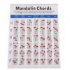 Lavender Mandolin Fretboard and Chord Chart Instructional Poster Fingering Chart