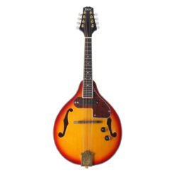 Goldenrod IRIN ME-21 8 Strings Sunset Color Electric Mandolin With Pickle/Wipe Cloth/3M Connection